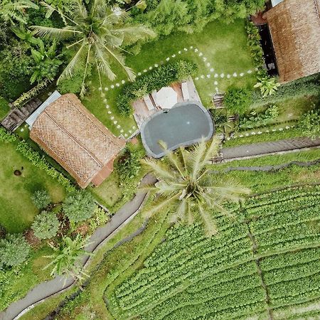 Like Living In A Romantic Balinese Painting Sidemen  Esterno foto